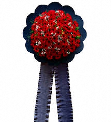 STANDART MODEL CENAZE ELENK