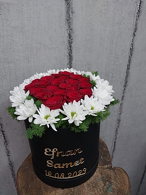 PAPATYA VE GLLER NAN E